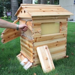 Auto Seep Bee Hives Boxes Langstroth Bee Hive HOUSE + 7x Bee Beekeeping Frames