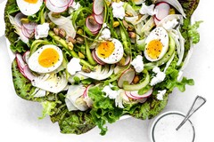 Freckles Romaine Lettuce Seeds | Lactuca Red Speckled Leaf Vegetable Seed 2024