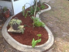 Custom curbing concrete edging landscaping DIY The original Curb It Yourself