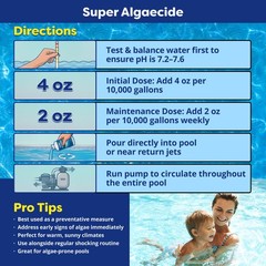 In The Swim Super Algaecide For Above Ground or Inground Swimming Pools – Low