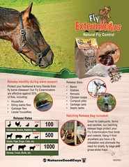 NaturesGoodGuys Fly Exterminator 10,000 Size