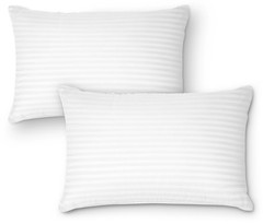 DreamNorth Premium Gel Pillow Loft, Plush Soft Bed Pillow 2 Pack, Queen Size