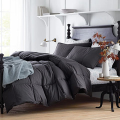 The Company Store LaCrosse Premium Down Light Warmth Comforter Queen/King