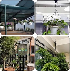 Gardening Plant Hooks Retractable Elevating Hanging Basket Bird Cage Bird