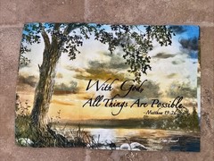 MyPillow Travel Pillow Case ~ MY PILLOW Go Anywhere Roll & Go Pillowcase CHOICE