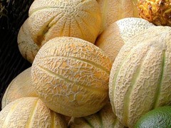 40 Rare Heirloom Pike Cantloupe Seeds Extremely Heat Tolerant 3-6LB Sweet Melon