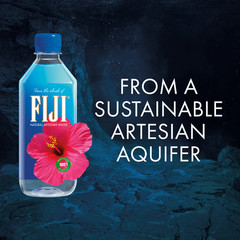 (2 pack) FIJI Natural Artesian Water, 16.9 fl. oz. (Pack of 6 Bottles)
