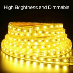 110V LED Strip Light SMD 5050 Flexible Tape Home Outdoor Lighting Rope + US Plug