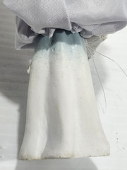 Vintage Chalkware Bride and Groom Wedding Cake Topper Figures