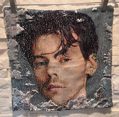 NWOT HARRY STYLES Reversible Flip Sequin Pillowcase Silver & Tan 15″x15″
