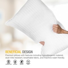 DreamNorth Premium Gel Pillow Loft, Plush Soft Bed Pillow 2 Pack, Queen Size