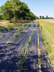 DeWitt Woven Ground Cover Landscape Fabric SUNBELT 12’x300′ 3.2 OUNCE FOLDED!!