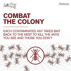 Savitri Ant Gel Bait (4 x 30 Grams) by Atticus (Compare to Advion)