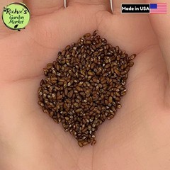 Rosemary Seeds, Heirloom Perennial, Non-GMO, Fragrant, Medicinal, Free Shipping