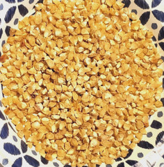 1/2 Pound Silver King Non GMO Hybrid White Sweet Corn Seeds
