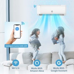 12000BTU Mini Split Central Air Conditioner & Heat Pump SEER2 18.5 220V Inverter
