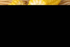 100 IOCHIEF YELLOW SWEET CORN AAS Winner Zea Mays Vegetable Seeds *Combined S/H