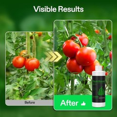 VIVOSUN Seaweed & Kelp Fertilizer Additive NutriBoost (0-0-1) 8 Ounces All Stage