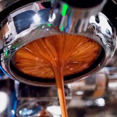 SUMATRA ESPRESSO DARK ROASTED COFFEE BEANS 5 POUNDS IN 1 POUND BAGS