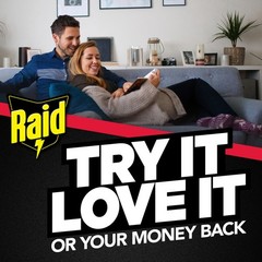 Raid Indoor Ant Bait Gel Trap 8 Count Pack Long Lasting Easy Placement Use