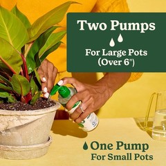 Indoor Plant Food for All Plants 8 Fl. Oz., 2-Pack
