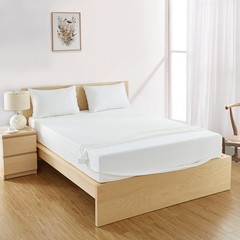 Zippered Mattress Encasement Waterproof Protector Hypoallergenic Mattress Cover