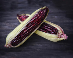 30+ New York Bloody Butcher Corn Seeds — NEW CROSS ——— RARE