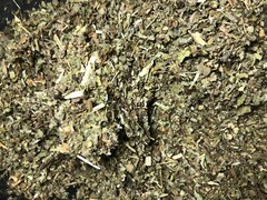 Wild Lettuce Damiana Leaf Mullein Marshmallow – No.22 Herbal Blend Mixture