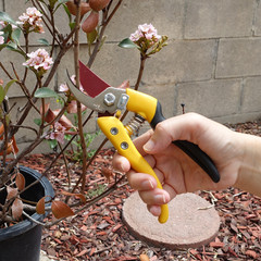 Chikamasa Ultra Rosso 7 Pruning Shears PS-7Y – Free Shipping, US Stock