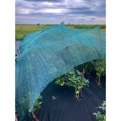 Green Shade Cloth – Hemmed and Grommeted