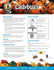 Natures Good Guys 1500 Live Ladybugs – Good Bugs- Ladybugs – Guaranteed Live Del