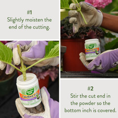 Garden Safe Take Root Rooting Hormone, 2-Ounce