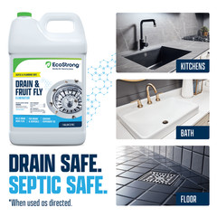 Drain and Fruit Fly Eliminator