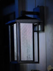 Home Decorators Mauvo Canyon 15.5 in. Black Dusk to Dawn LED Outdoor Wall Light