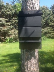 ^v^ NEW LARGE CHAMBER KEVLAR LINED SOLID BLACK BAT HOUSE BOX WITH PREDATOR GUARD