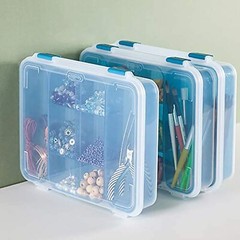 STERILITE Divided Case, Multicolor