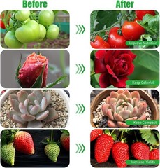 5-Head LED Grow Light Full Spectrum for Indoor Plants, Auto Timer, 10 Brightness