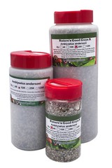 NaturesGoodGuys – Amblyseius andersoni – Predatory Spider Mite Control