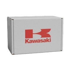 Kawasaki Fuel Filter 49019-0027 FR541V FR600V FR651V FR691V FR730V 2-Pack