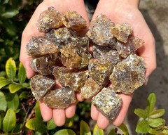 Dark Mayan Copal Granular Resin Incense: Choose Ounces or lb Bulk Wholesale Lots