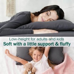 Flat Ultra Thin Bed Pillows Standard/Queen Size Pillow Set of 2 Extra Soft Do