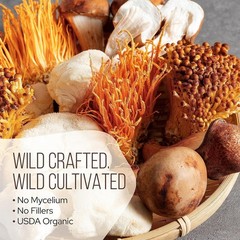 La Republica Mushroom Coffee (Instant w Full-Fruiting Bodies Lion’s Mane Chaga+)