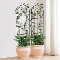 4 Packs Metal Garden Trellis 71″ x 20″ for Climbing Plant Support Rustproof