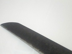 Straight Blade Pruning Hedge Shears