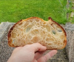 BEGINNER Sourdough Starter Verified Live San Francisco – 221yr Old TOP SELLER!