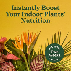Indoor Plant Food Choose Your Style 8 Fl. Oz., 2-Pack