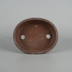 Shohin Bonsai Pot Shibakatsu Unglazed Brown Oval 15.3cm 6.02in Tokoname Vintage