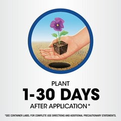 Roundup Weed & Grass Killer4 Concentrate, 1 gal.