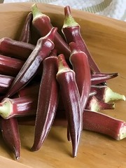 60 Heirloom Red Burgundy Okra Seeds – Tender Pods, Easy Harvest, Easy To Grow!