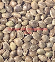 WHOLE ORGANIC RAW HEMP SEEDS 2 Ounces/60 Grams BEST QUALITY!